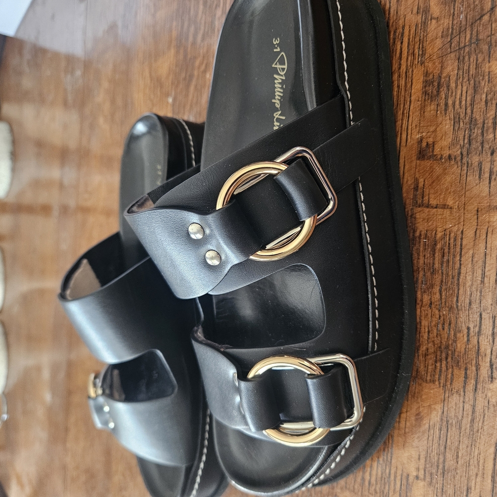 Black Sandals with Gold Buckles